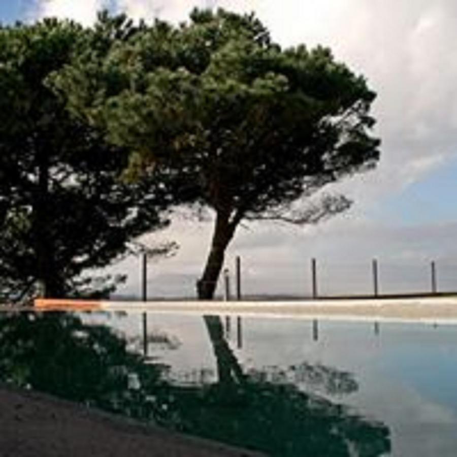 Vale de Lobos Shepinetree - Pinheira酒店 外观 照片